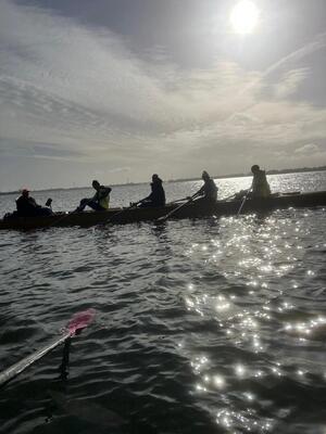 noorderhaaks-bij-hooft