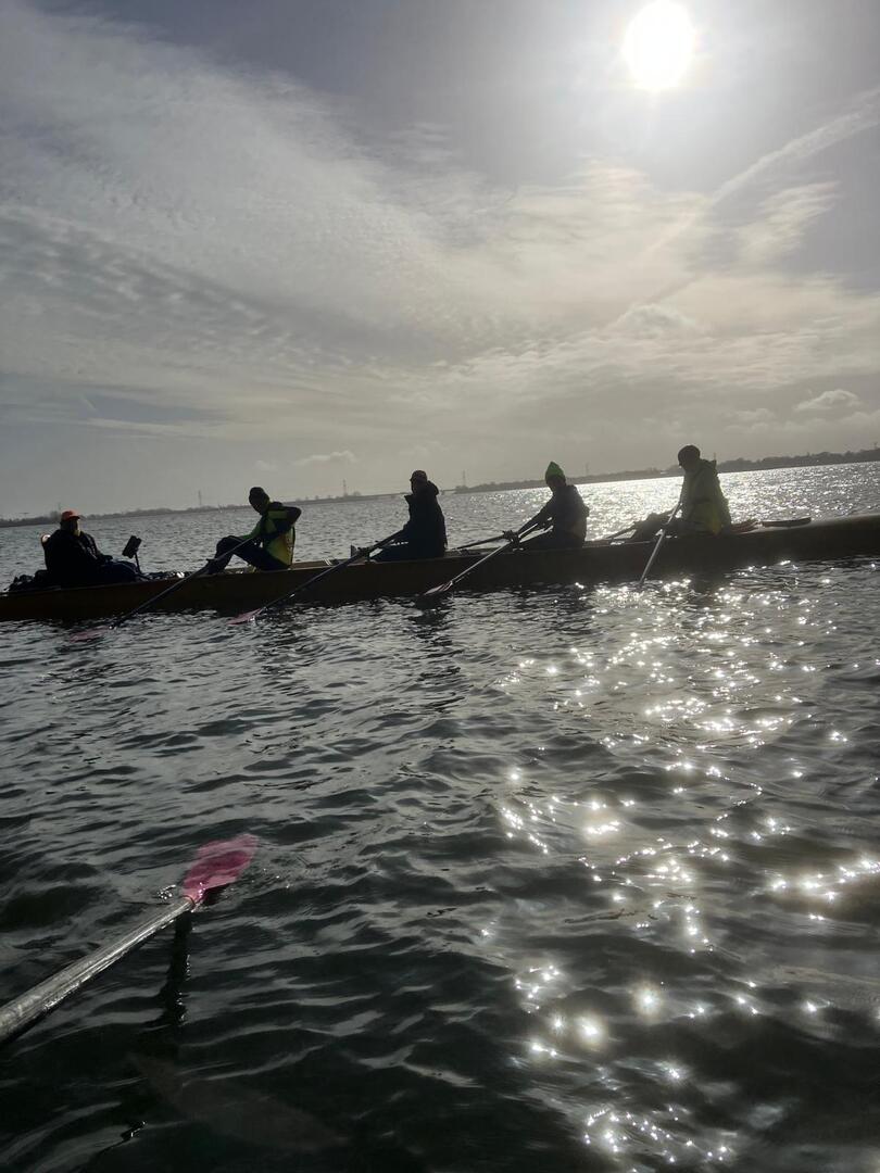 noorderhaaks-bij-hooft